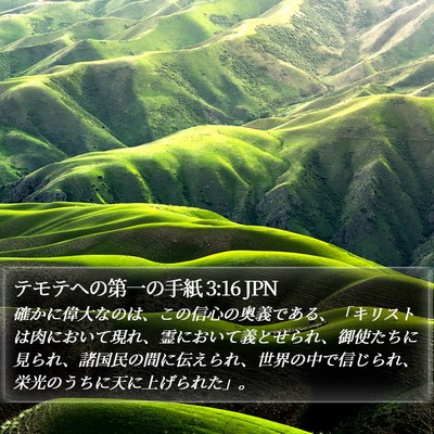 テモテヘの第一の手紙 3:16 JPN Bible Verse Image