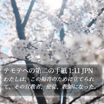 テモテヘの第二の手紙 1:11 JPN Bible Verse Image