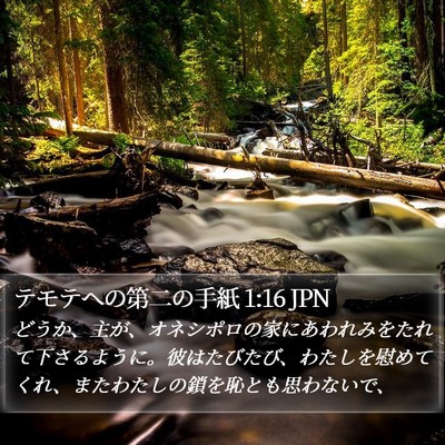 テモテヘの第二の手紙 1:16 JPN Bible Verse Image