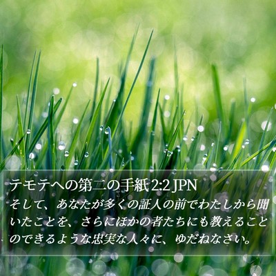 テモテヘの第二の手紙 2:2 JPN Bible Verse Image