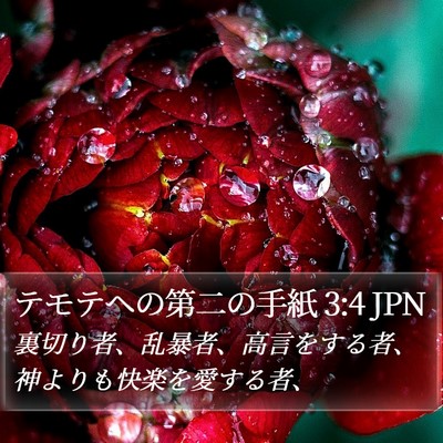 テモテヘの第二の手紙 3:4 JPN Bible Verse Image