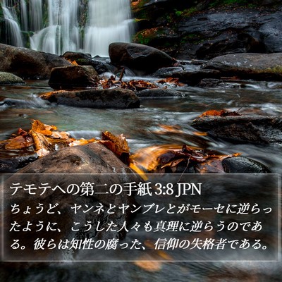 テモテヘの第二の手紙 3:8 JPN Bible Verse Image