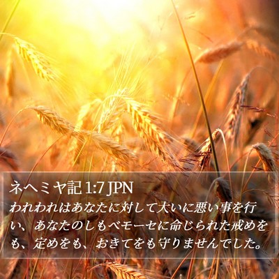 ネヘミヤ記 1:7 JPN Bible Verse Image