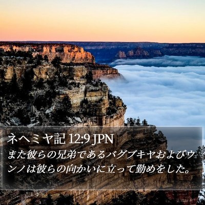 ネヘミヤ記 12:9 JPN Bible Verse Image