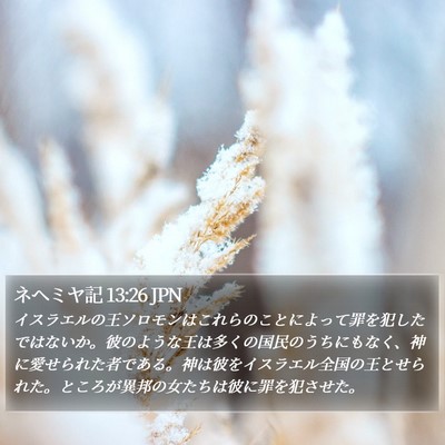 ネヘミヤ記 13:26 JPN Bible Verse Image