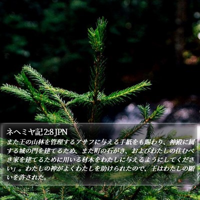ネヘミヤ記 2:8 JPN Bible Verse Image