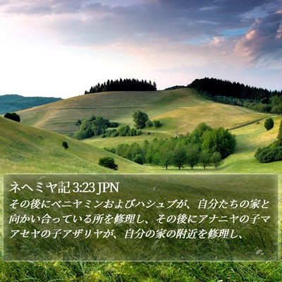ネヘミヤ記 3:23 JPN Bible Verse Image