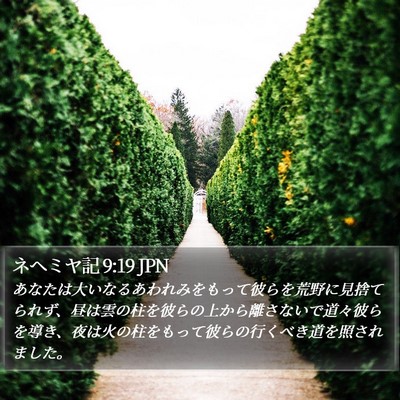 ネヘミヤ記 9:19 JPN Bible Verse Image