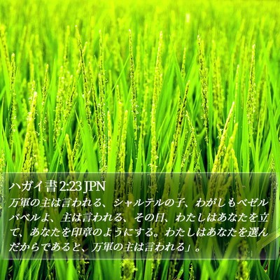 ハガイ書 2:23 JPN Bible Verse Image