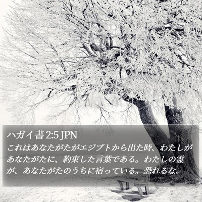 ハガイ書 2:5 JPN Bible Verse Image
