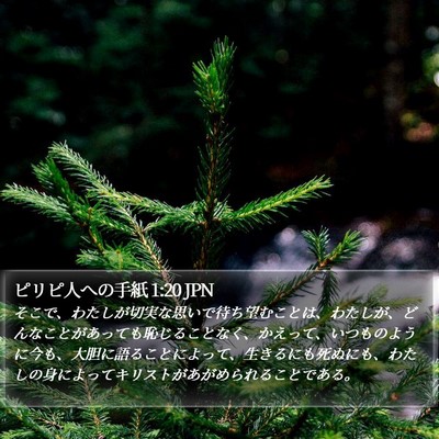 ピリピ人への手紙 1:20 JPN Bible Verse Image