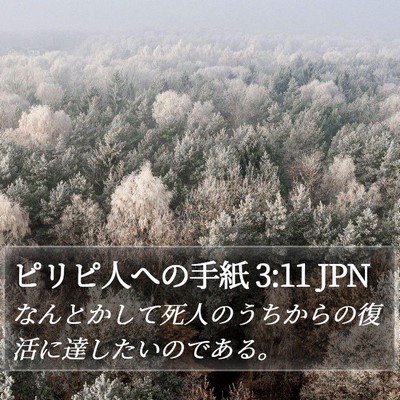ピリピ人への手紙 3:11 JPN Bible Verse Image