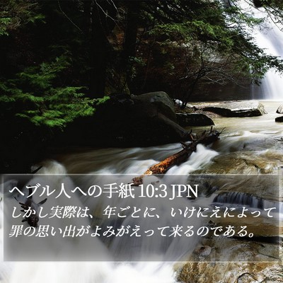 ヘブル人への手紙 10:3 JPN Bible Verse Image
