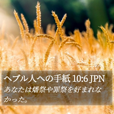 ヘブル人への手紙 10:6 JPN Bible Verse Image