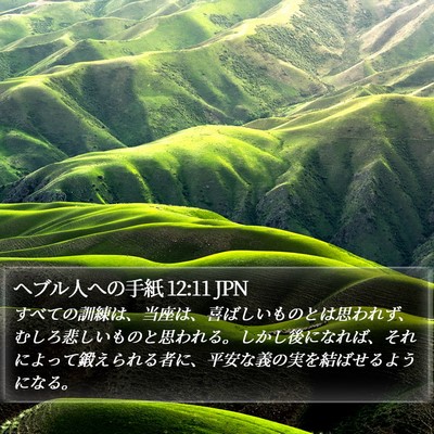 ヘブル人への手紙 12:11 JPN Bible Verse Image