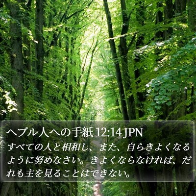 ヘブル人への手紙 12:14 JPN Bible Verse Image