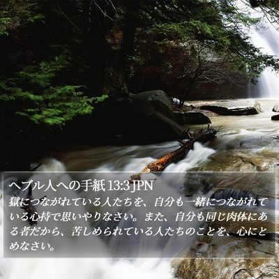 ヘブル人への手紙 13:3 JPN Bible Verse Image