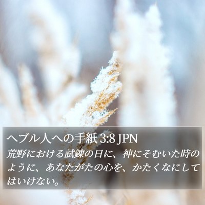 ヘブル人への手紙 3:8 JPN Bible Verse Image