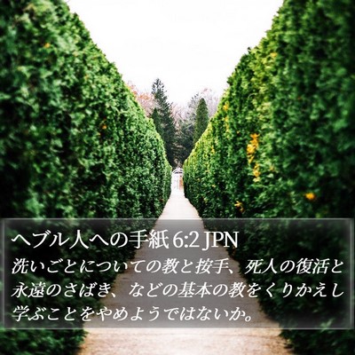 ヘブル人への手紙 6:2 JPN Bible Verse Image