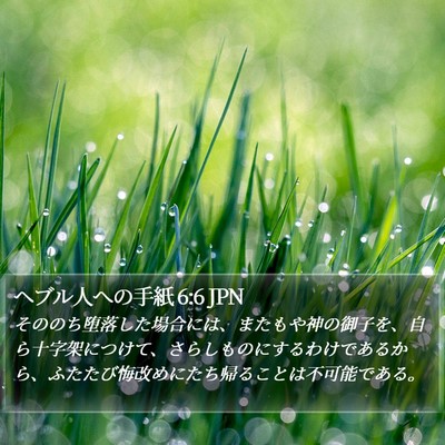 ヘブル人への手紙 6:6 JPN Bible Verse Image