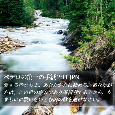 ペテロの第一の手紙 2:11 JPN Bible Verse Image