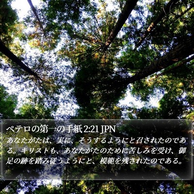 ペテロの第一の手紙 2:21 JPN Bible Verse Image