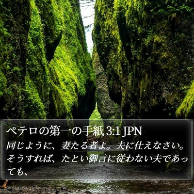 ペテロの第一の手紙 3:1 JPN Bible Verse Image