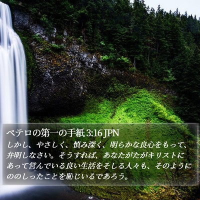 ペテロの第一の手紙 3:16 JPN Bible Verse Image