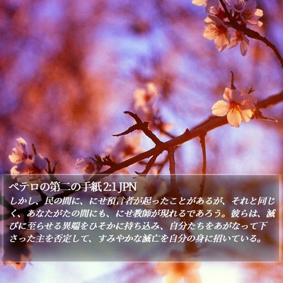 ペテロの第二の手紙 2:1 JPN Bible Verse Image