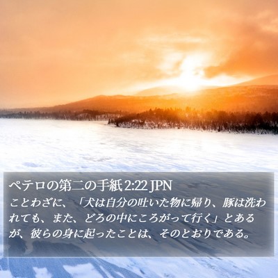 ペテロの第二の手紙 2:22 JPN Bible Verse Image