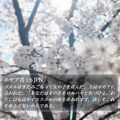 ホセア書 1:6 JPN Bible Verse Image