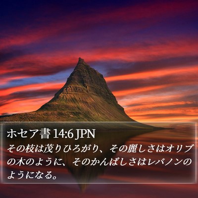 ホセア書 14:6 JPN Bible Verse Image