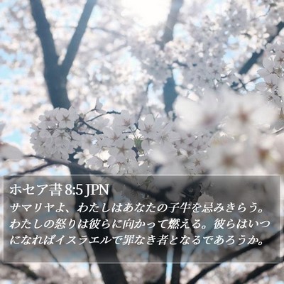 ホセア書 8:5 JPN Bible Verse Image