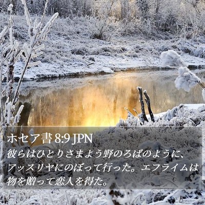 ホセア書 8:9 JPN Bible Verse Image