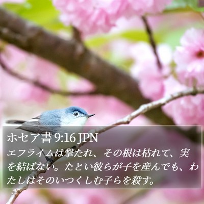 ホセア書 9:16 JPN Bible Verse Image