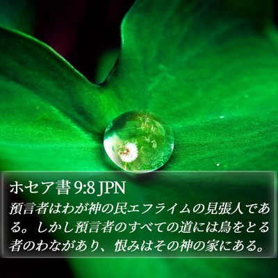 ホセア書 9:8 JPN Bible Verse Image