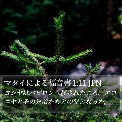 マタイによる福音書 1:11 JPN Bible Verse Image