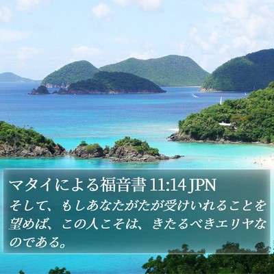 マタイによる福音書 11:14 JPN Bible Verse Image
