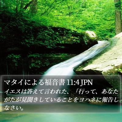 マタイによる福音書 11:4 JPN Bible Verse Image
