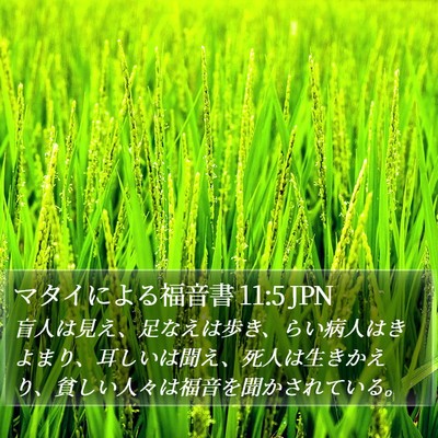 マタイによる福音書 11:5 JPN Bible Verse Image