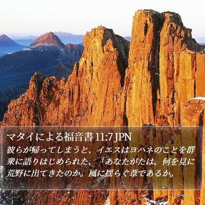 マタイによる福音書 11:7 JPN Bible Verse Image