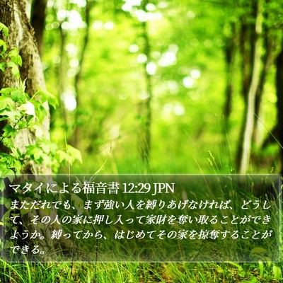マタイによる福音書 12:29 JPN Bible Verse Image