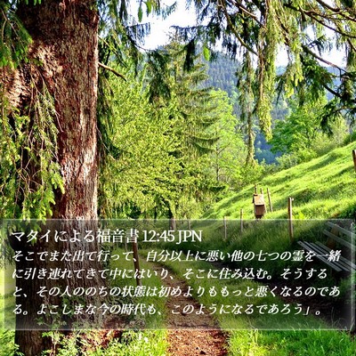 マタイによる福音書 12:45 JPN Bible Verse Image