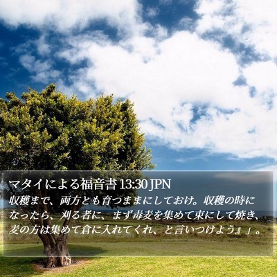 マタイによる福音書 13:30 JPN Bible Verse Image