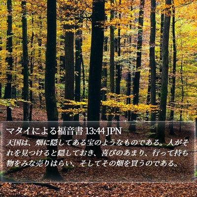 マタイによる福音書 13:44 JPN Bible Verse Image