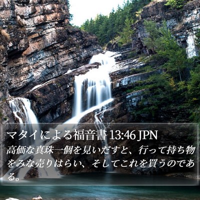 マタイによる福音書 13:46 JPN Bible Verse Image