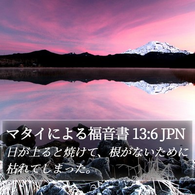 マタイによる福音書 13:6 JPN Bible Verse Image