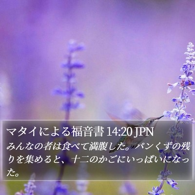 マタイによる福音書 14:20 JPN Bible Verse Image