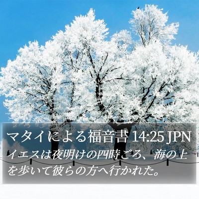 マタイによる福音書 14:25 JPN Bible Verse Image