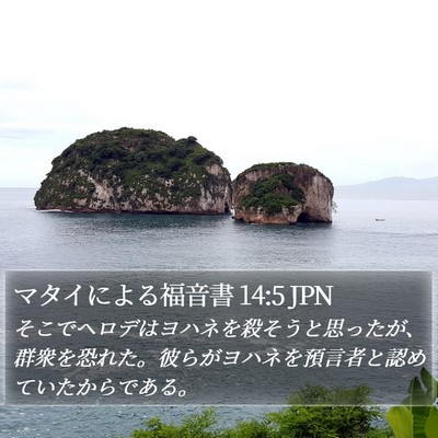 マタイによる福音書 14:5 JPN Bible Verse Image